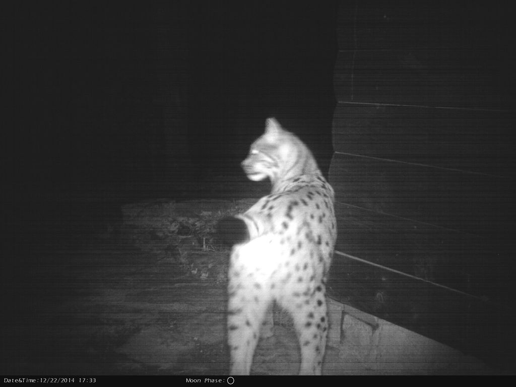 54ed9456-6a90-4b9f-9031-e1638e1b6a6a