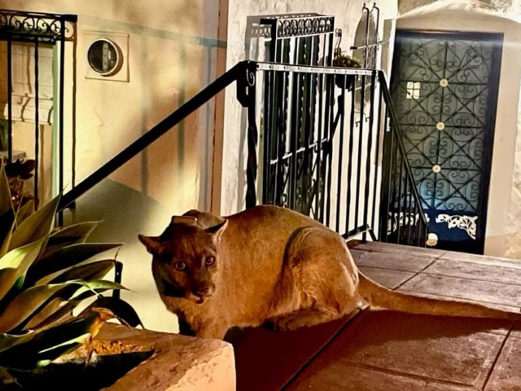 ae75c9f5-e429-4b51-8944-b4e72953c715