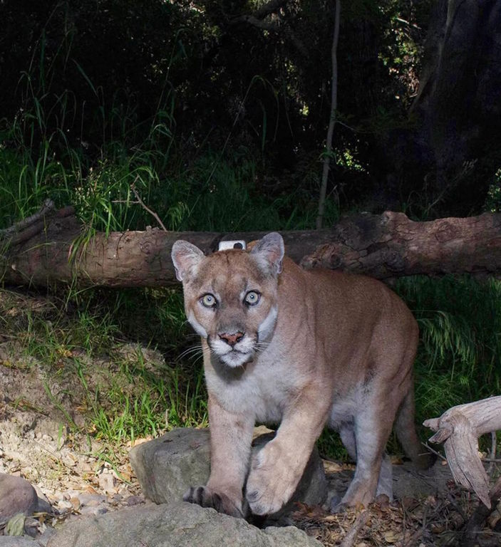 ae75c9f5-e429-4b51-8944-b4e72953c715