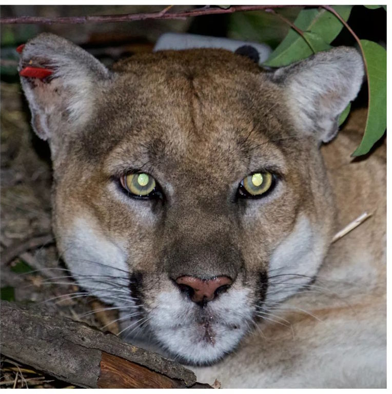 ae75c9f5-e429-4b51-8944-b4e72953c715