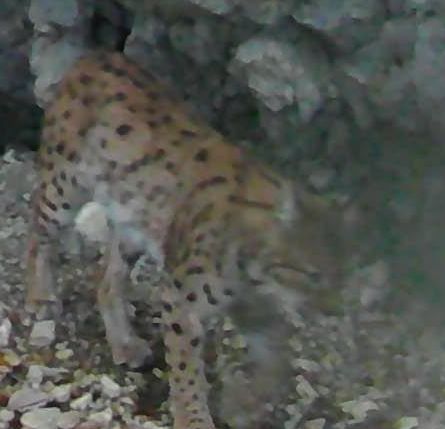 54ed9456-6a90-4b9f-9031-e1638e1b6a6a