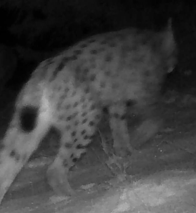 54ed9456-6a90-4b9f-9031-e1638e1b6a6a