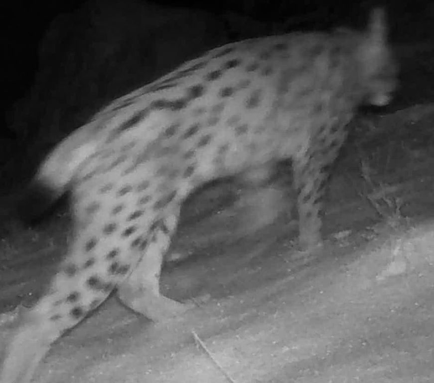 54ed9456-6a90-4b9f-9031-e1638e1b6a6a